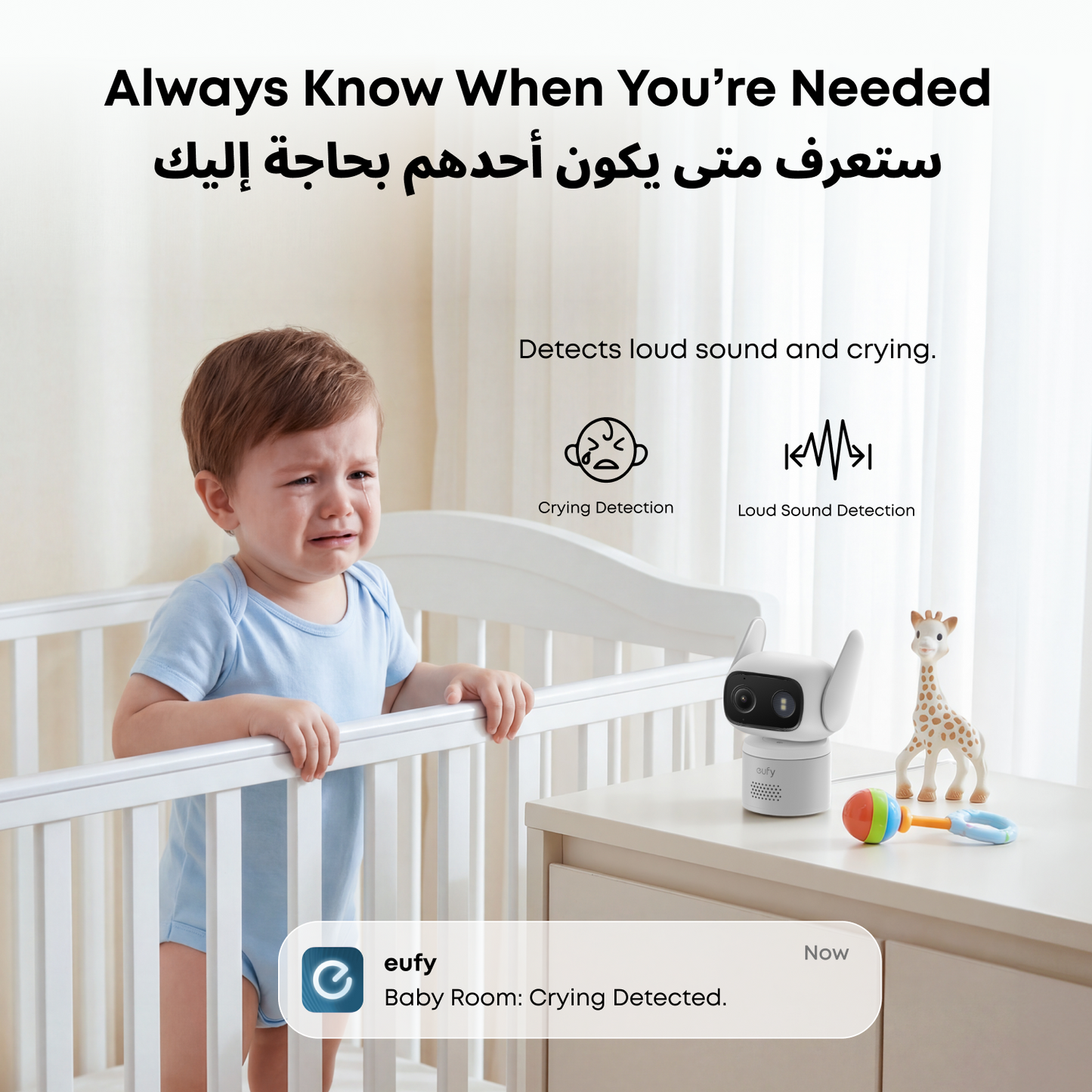 eufy Cam Wired C31 2-Pack