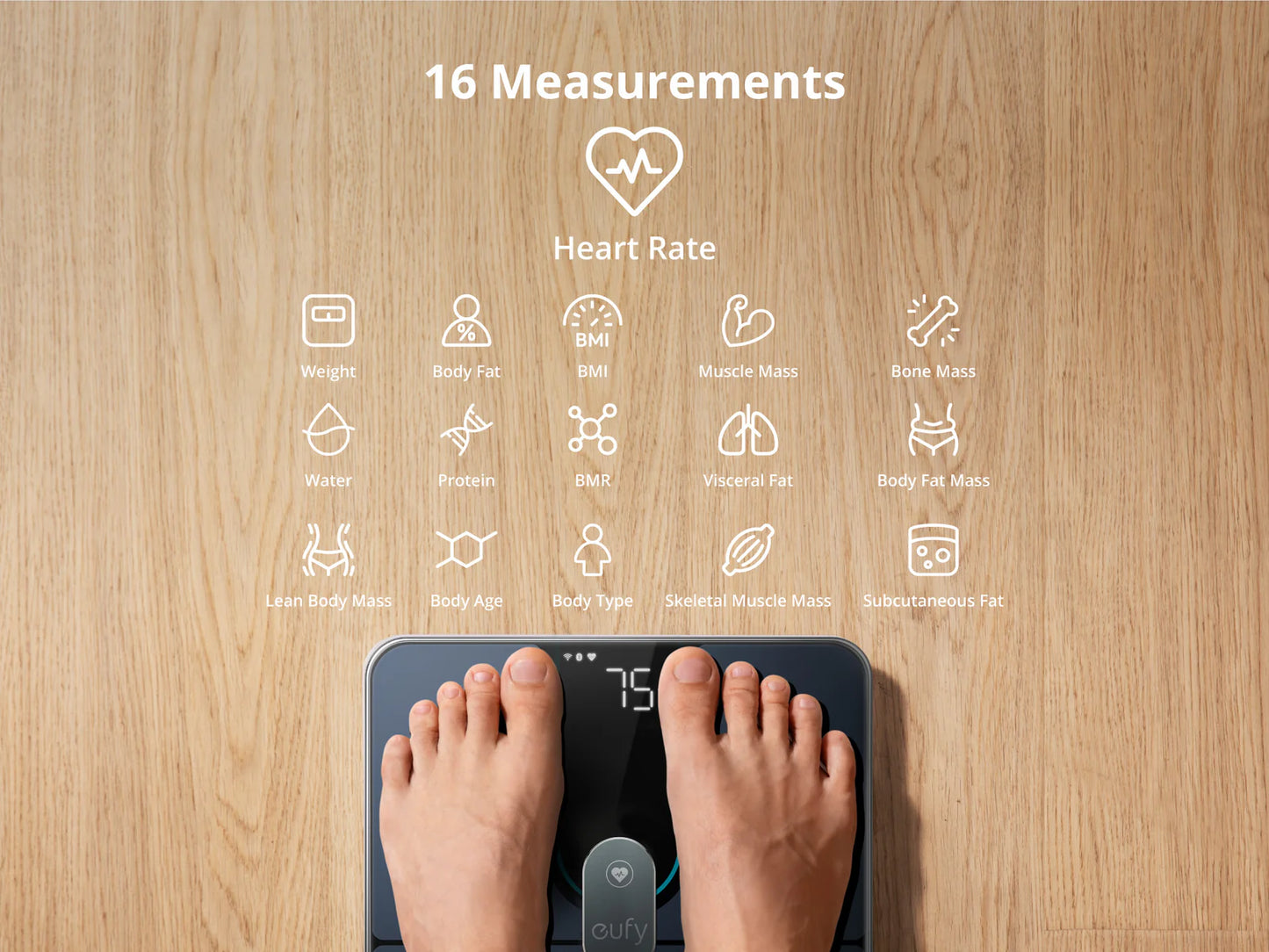 Smart Scale P2 Pro
